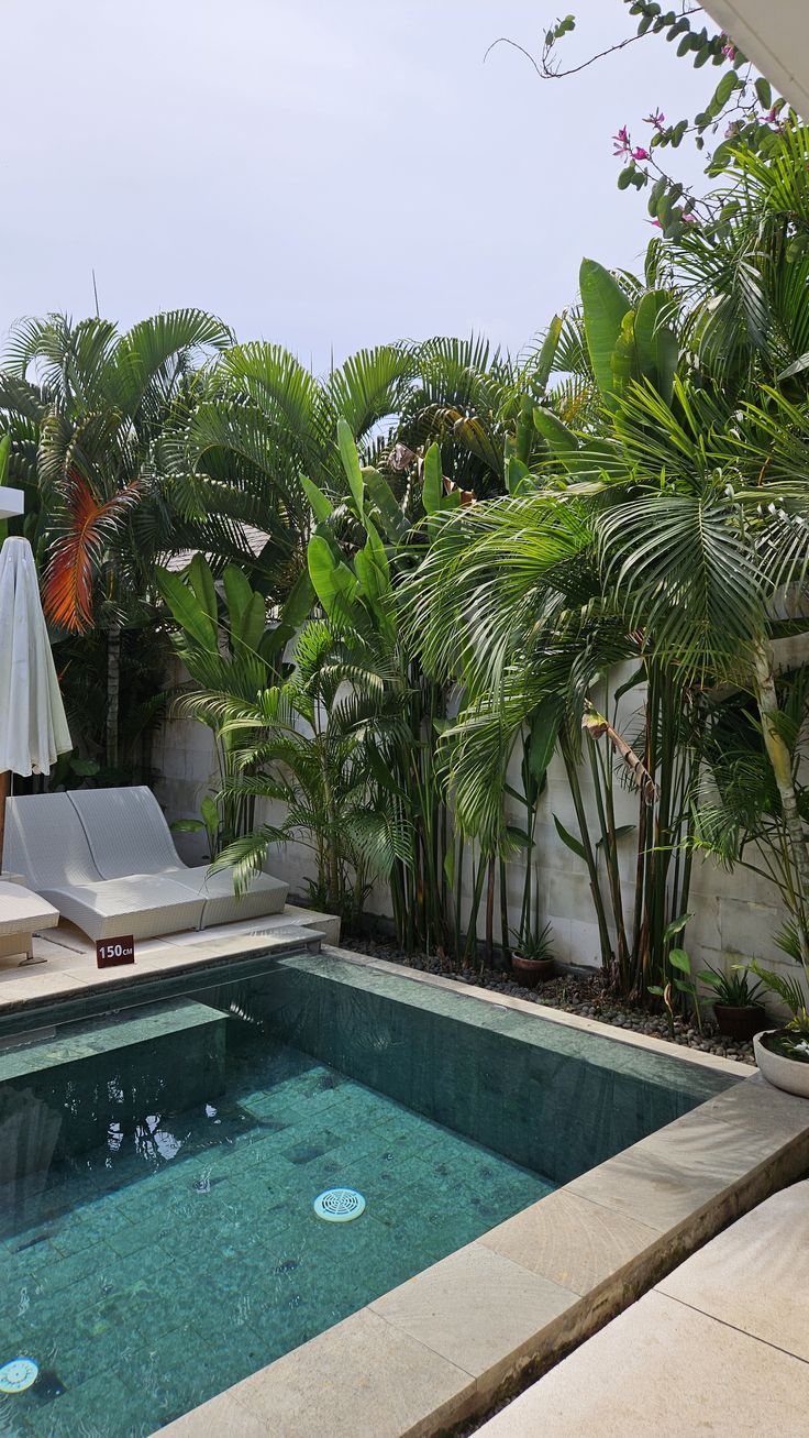 Pool with green Sukabumi stone aerial view